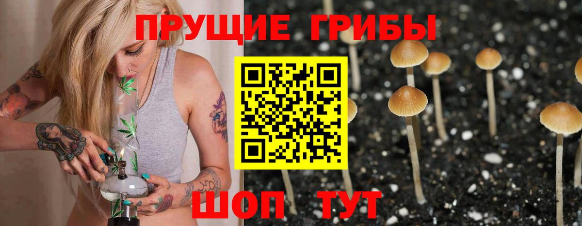 Семилуки  Галлюциногенные грибы Cubensis  хочу   Вход с VPN 